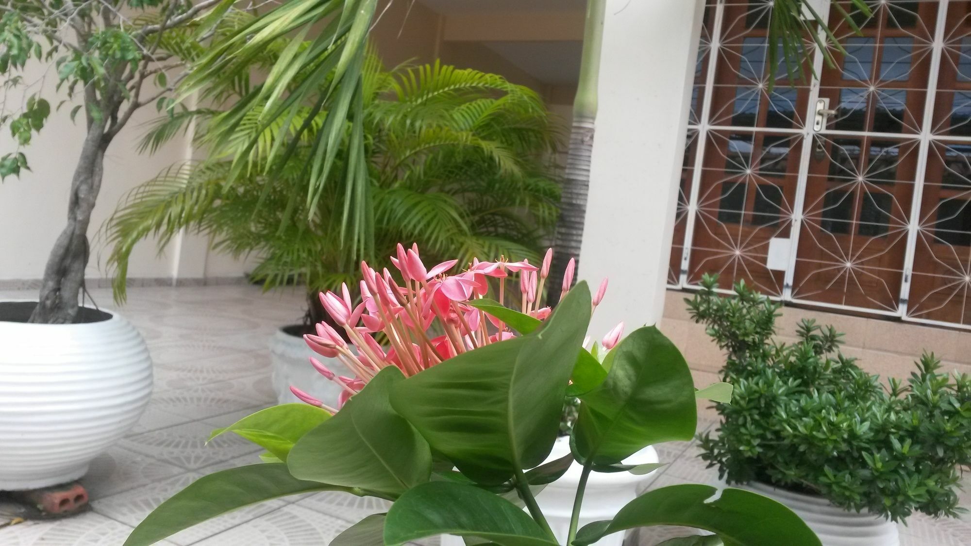 Each Hostel Da Amazonia マナウス エクステリア 写真