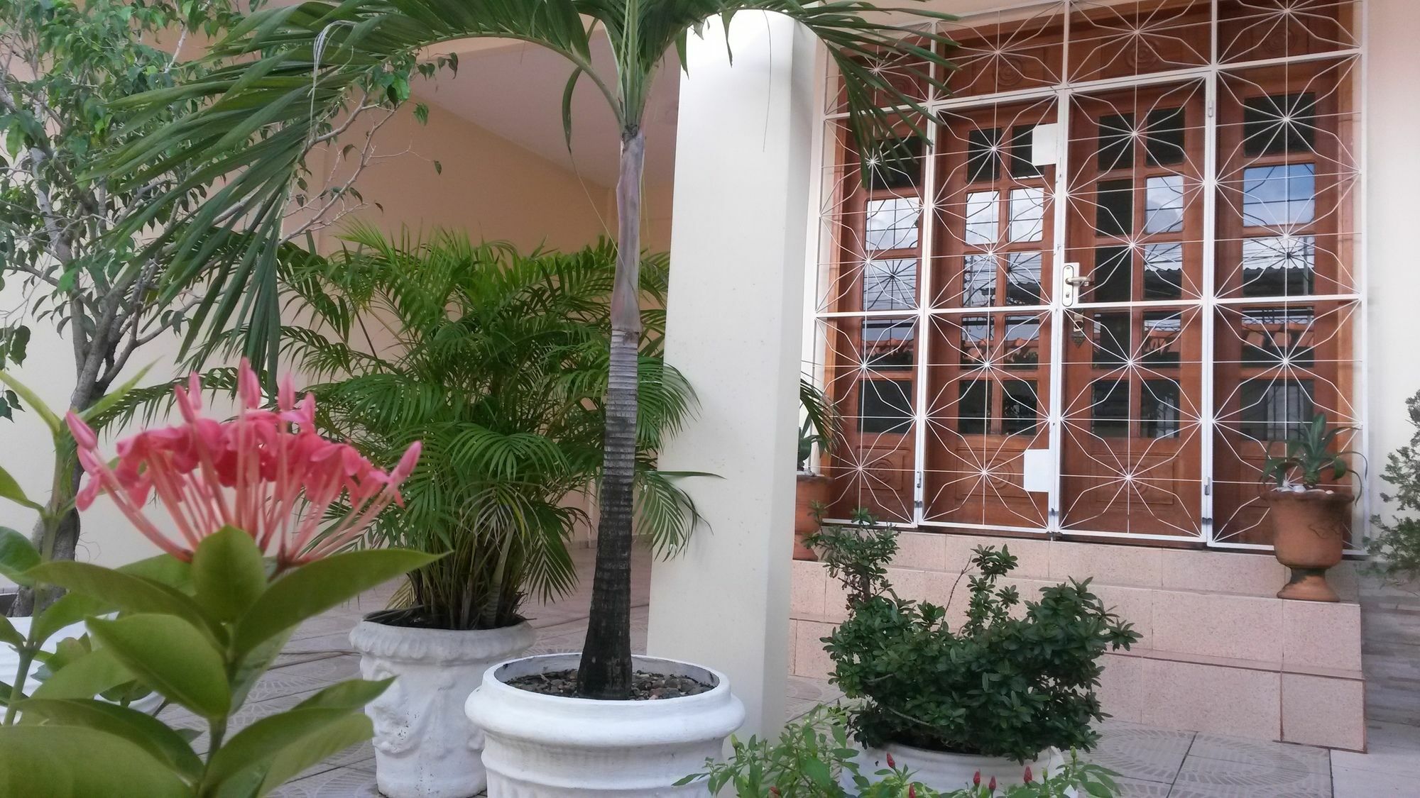 Each Hostel Da Amazonia マナウス エクステリア 写真